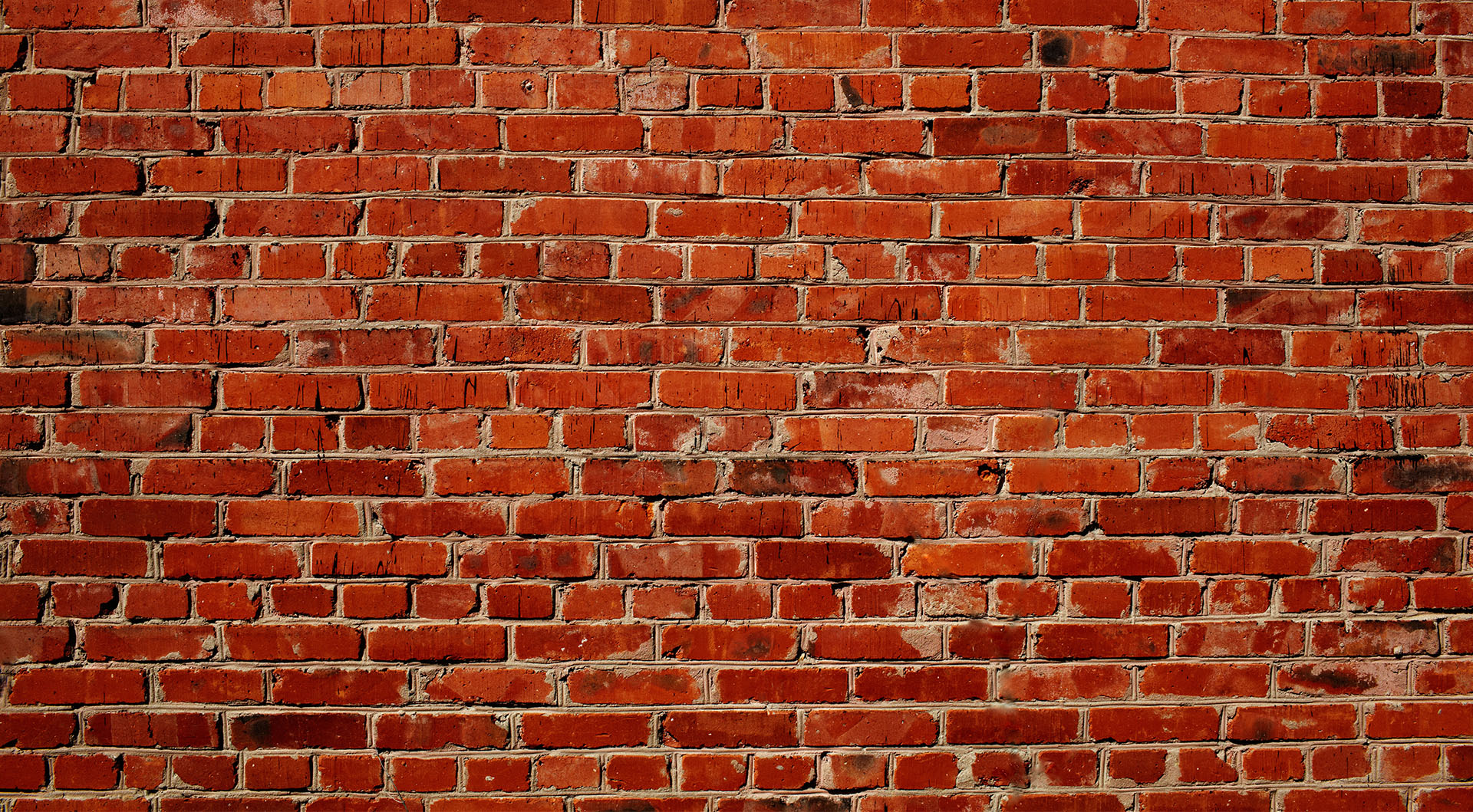 signs of structural damage to look out for in your house